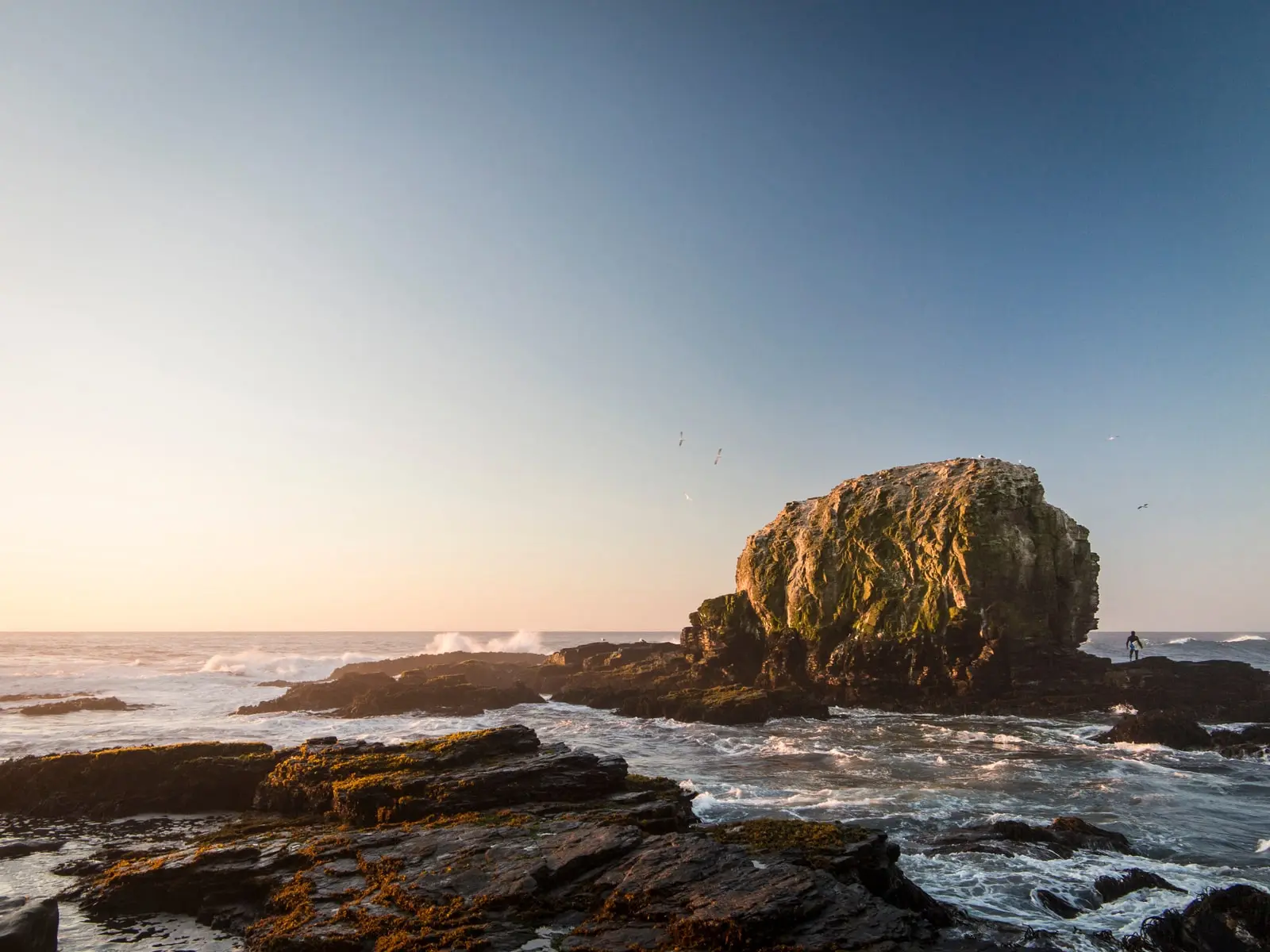 Atardecer en Playa Punta de Lobos, Pichilemu, Región de O'Higgins, Chile, con icónicas formaciones rocosas, olas rompiendo en la costa y aves volando sobre el océano.